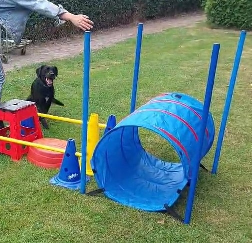 volg de aanwijzingen